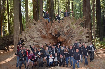 Highway 1 - Gruppebillede i Redwood National Park