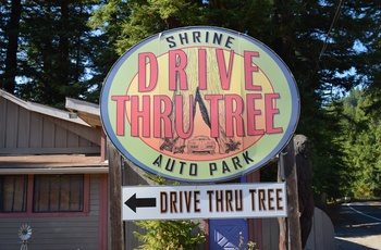 Highway 1 - skilt mod redwood træ man kan køre igennem