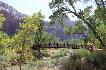MC Route 66 og Arizona - Vandring over træbro i Zion National Park
