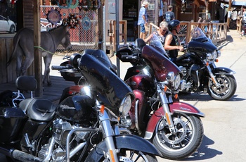 MC Route 66 og Arizona - motorcykler i guldgraverbyen Oatman