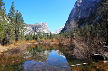 Nicolaj og Stephanie: Dag 20 i autocamper langs USAs vestkyst, Yosemite nationalpark