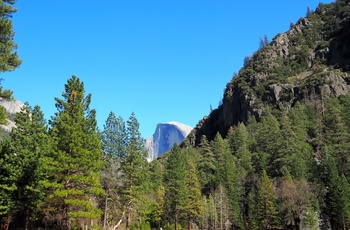 Nicolaj og Stephanie: Dag 21 i autocamper langs USAs vestkyst, Yosemite nationalpark