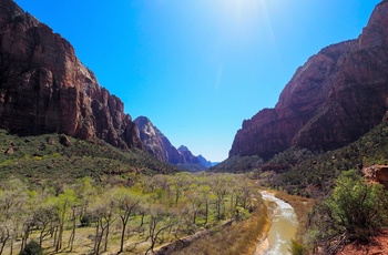 Nicolaj og Stephanie: Dag 32 i autocamper langs USAs vestkyst, Zion nationalpark