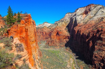 Nicolaj og Stephanie: Dag 32 i autocamper langs USAs vestkyst, Zion nationalpark