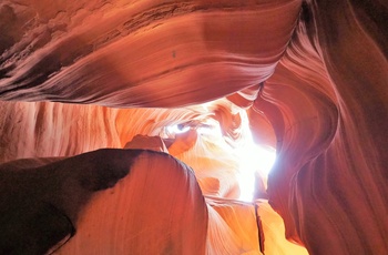 Nicolaj og Stephanie: Dag 34 i autocamper langs USAs vestkyts, Antelope Canyon