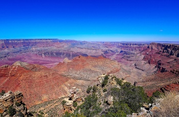 Nicolaj og Stephanie: Dag 36 i autocamper langs USAs vestkyst, Grand Canyon