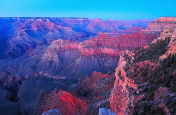 Nicolaj og Stephanie: Dag 36 i autocamper langs USAs vestkyst, Grand Canyon