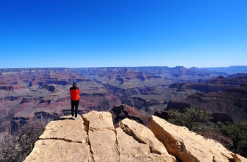 Nicolaj og Stephanie: Dag 37 i autocamper langs USAs vestkyst, Grand Canyon