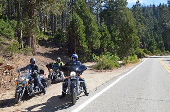 Highway 1 - Vi kører mod Sequoia National Park