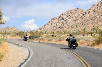 MC Route 66 og Arizona - Kørsel i Joshua National Park