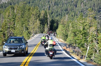 Highway 1 - motorcykelkørsel genne skov ved Lake Tahoe