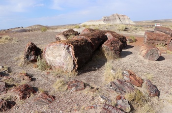 MC Route 66 og Arizona - Petrified Forest National Park i Arizona