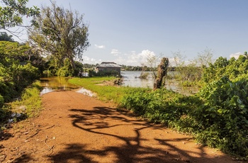 Den botaniske have i Entebbe ligger ud til Victoriasøen - Uganda