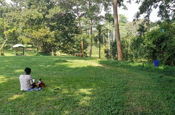 Den botaniske have i Entebbe - Uganda