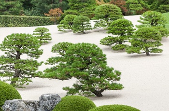 Den japanske have ved Adachi Museum of Art nær Matsue - Japan