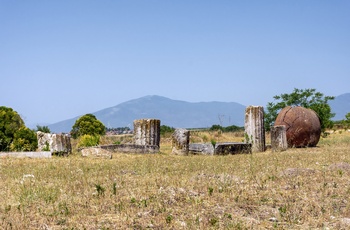 Det arkæologiske område Pella - Grækenland