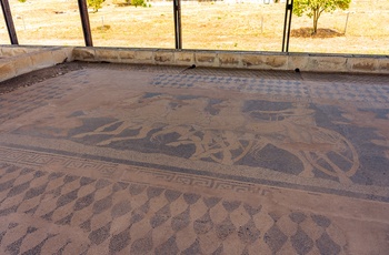 Det arkæologiske område Pella - Grækenland