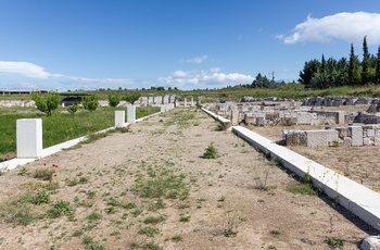 Det arkæologiske område Pella - Grækenland
