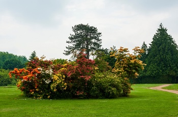 Detalje fra haven ved Highclere Castle