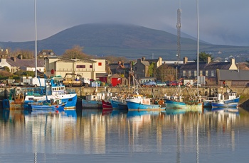 Havnen i byen Dingle på Dingle-halvøen - Irland