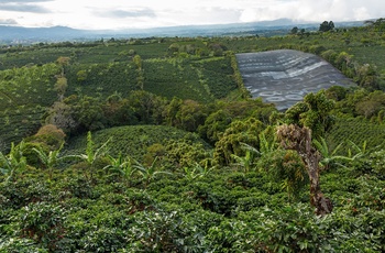 Doka Estate - kaffeplantage i Costa Rica