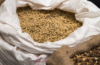 Kaffebønner, Doka Estate - kaffeplantage i Costa Rica