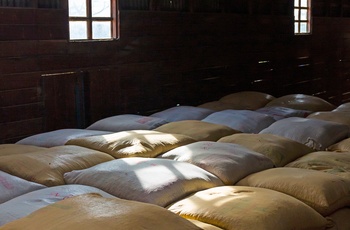 Sække med kaffebønner på Doka Estate - kaffeplantage i Costa Rica