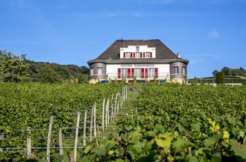 Domæne Bergstrasse ©Weingut Kloster Eberbach