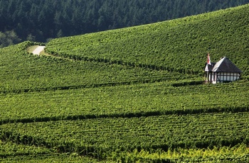 Domæne Rauenthal ©Weingut Kloster Eberbach