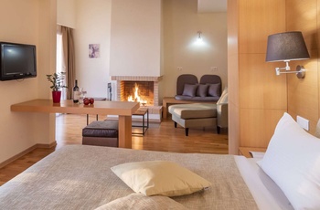 Domotel Anemolia Mountain Resort - Dobbeltværelse