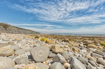 Jurassic Coast nær Lyme Regis i Dorset, England