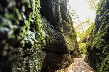 Foto: Dragekløften i Thüringer Wald | Regionalverbund Thüringer Wald e.V., Dominik Ketz