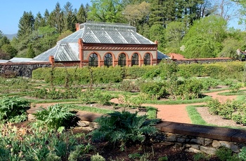 Drivhus på Biltmore Estate, Asheville, North Carolina - USA