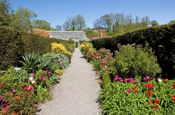 Den botaniske have i Dublin, Irland