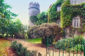 Malahide Castle i Dublin 