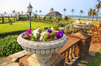 Grøn park område langs strandpromenaden i Durban, Sydafrika