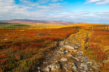 Efterår i Pallas–Yllästunturi Nationalpark