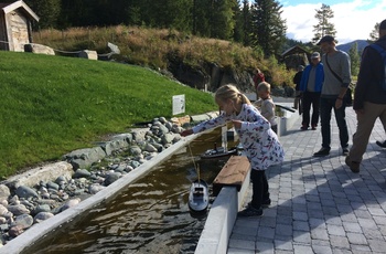 Aktivitetsparken Eidsborg ved Vest-Telemark Museum Foto Håkon Nordby