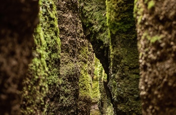 Foto: Dragekløften i Thüringer Wald | Regionalverbund Thüringer Wald e.V., Dominik Ketz