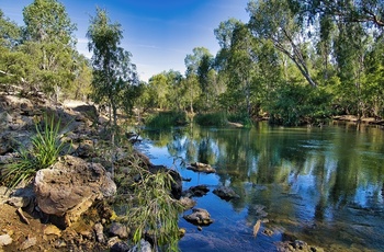 Varme kilder i Elsey National Park nær Mataranka - Northern Territory i Australien