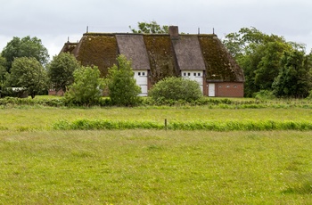 Emil Nolde Museum i Nordtyskland