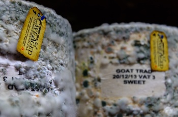England, Somerset - Cheddar gedeost modnet i underjordisk hule (Foto - Visit Somerset)