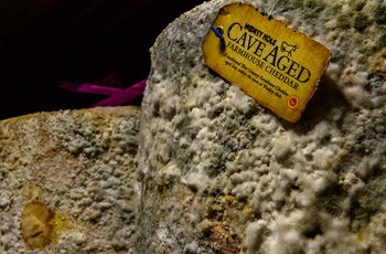 England, Somerset - Cheddar ost modnet i underjordisk hule (Foto - Visit Somerset)