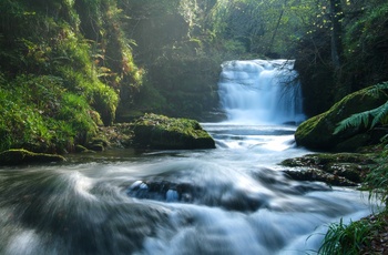 England, Somerset - Watersmeet ved Lynton (Foto - Neville Stanikk og Exmoore National Park)