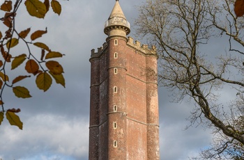 England, Somerset - flot knejser King Alfreds Tower i skoven