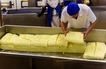 England, Somerset - fremstilling af Cheddar ost (Foto - Visit Somerset)