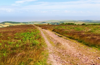 England, Somerset - hedelandskab i Quantock Hills