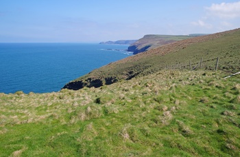 Kyststrækning med græsklædte bakker ved Boscastle, Cornwall i England