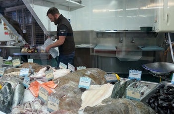 Der sælges frisk fisk i Port Isaac i Cornwall, England