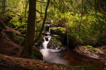 Becky Falls i efteråret i Dartmoor Nationalpark